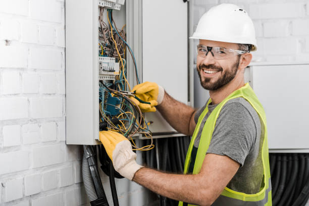 Best Electric Panel Repair  in Atwater, MN